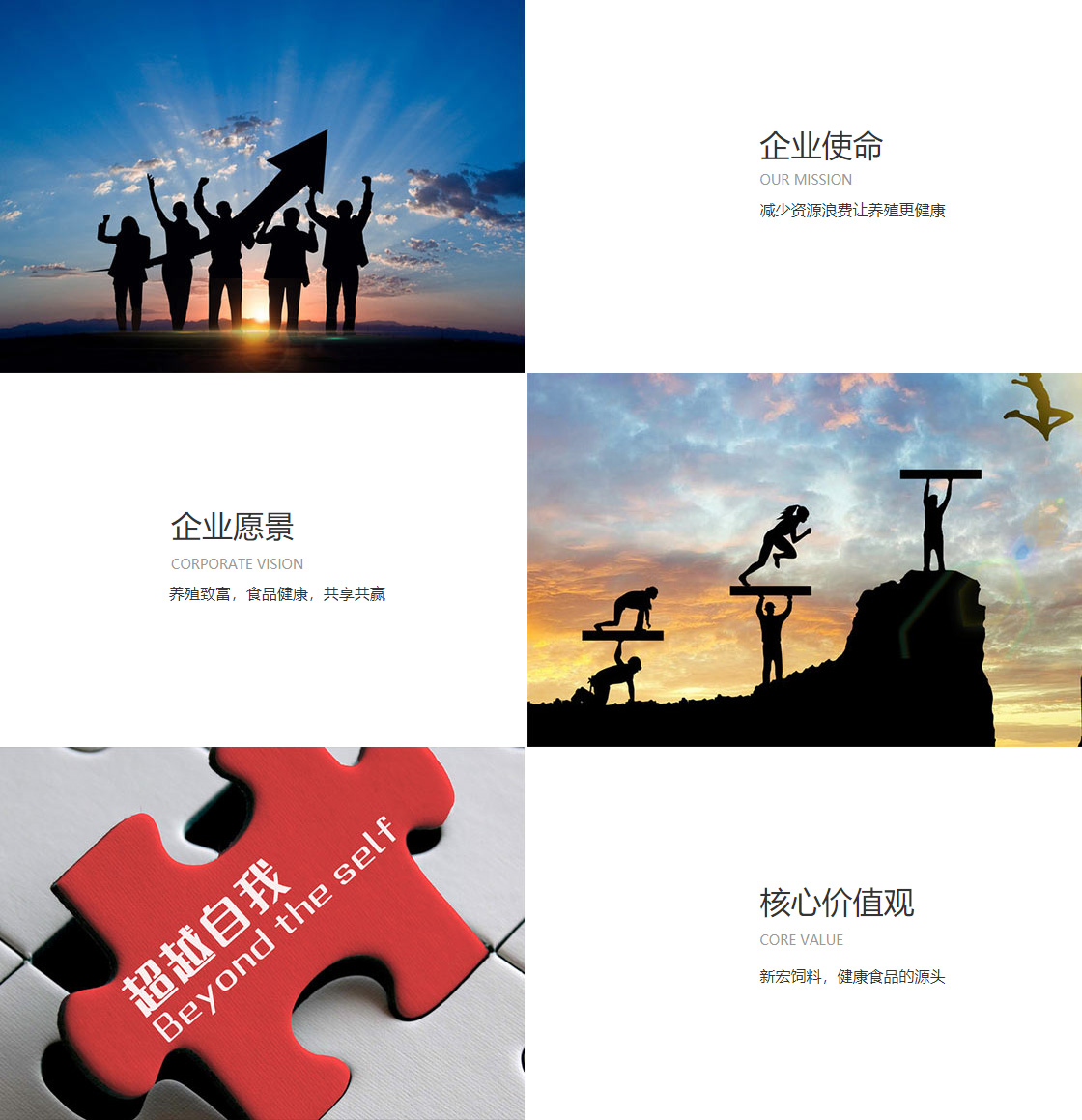 极速电竞官网入口(图1)